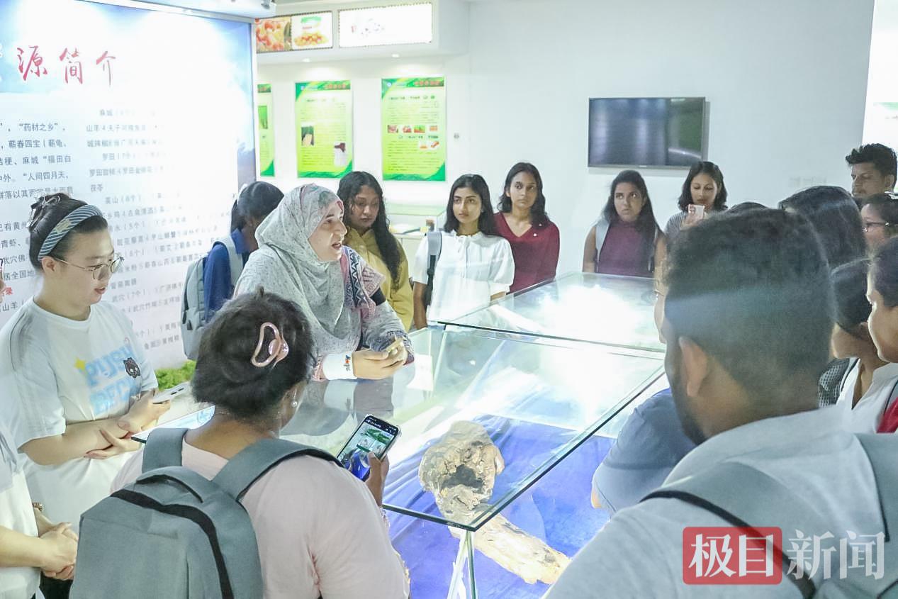 图片2.jpg 图片2.jpg